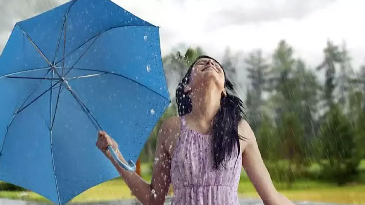 বর্ষার দিনে চুলের রুক্ষতা দূর করার সহজ ও কার্যকরী উপায়
